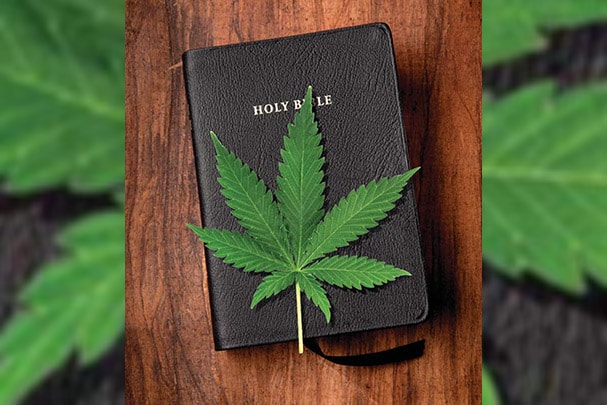 Wietblad op bijbel